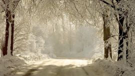 Дорога Зима