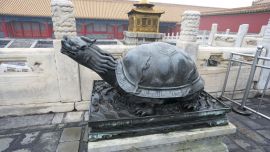 Turtle China