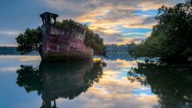 102 Year Old Ship Becomes A Floating Forest