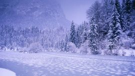 Красивые Картинки Зима