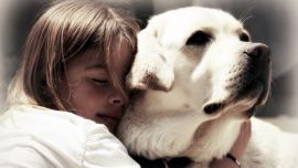 Девочка и Собака