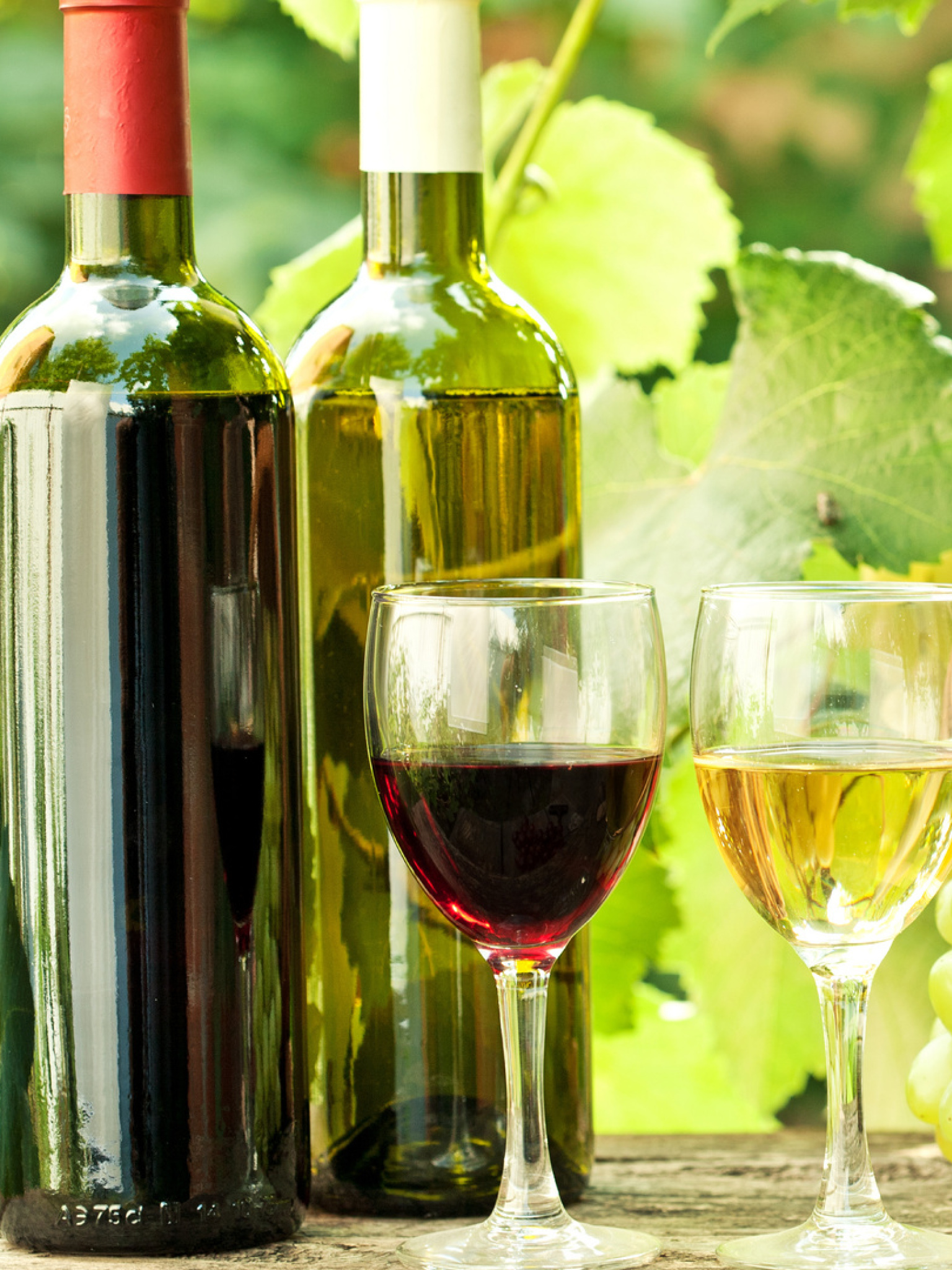 Виноград вино сканворд. Виноградники вино. Итальянское вино 6 букв. Вино 4 буквы. Красивая картинка винодельни в ЮАР.