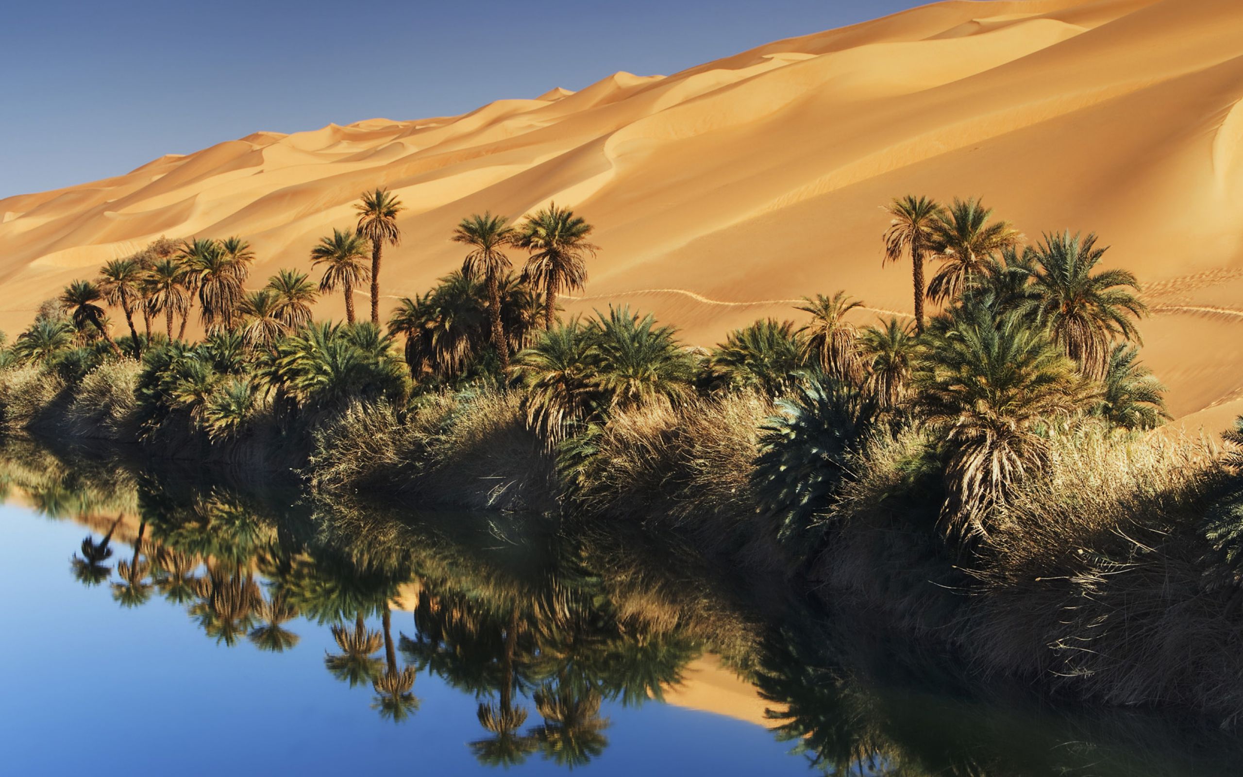 Египет Пустыня Обои
