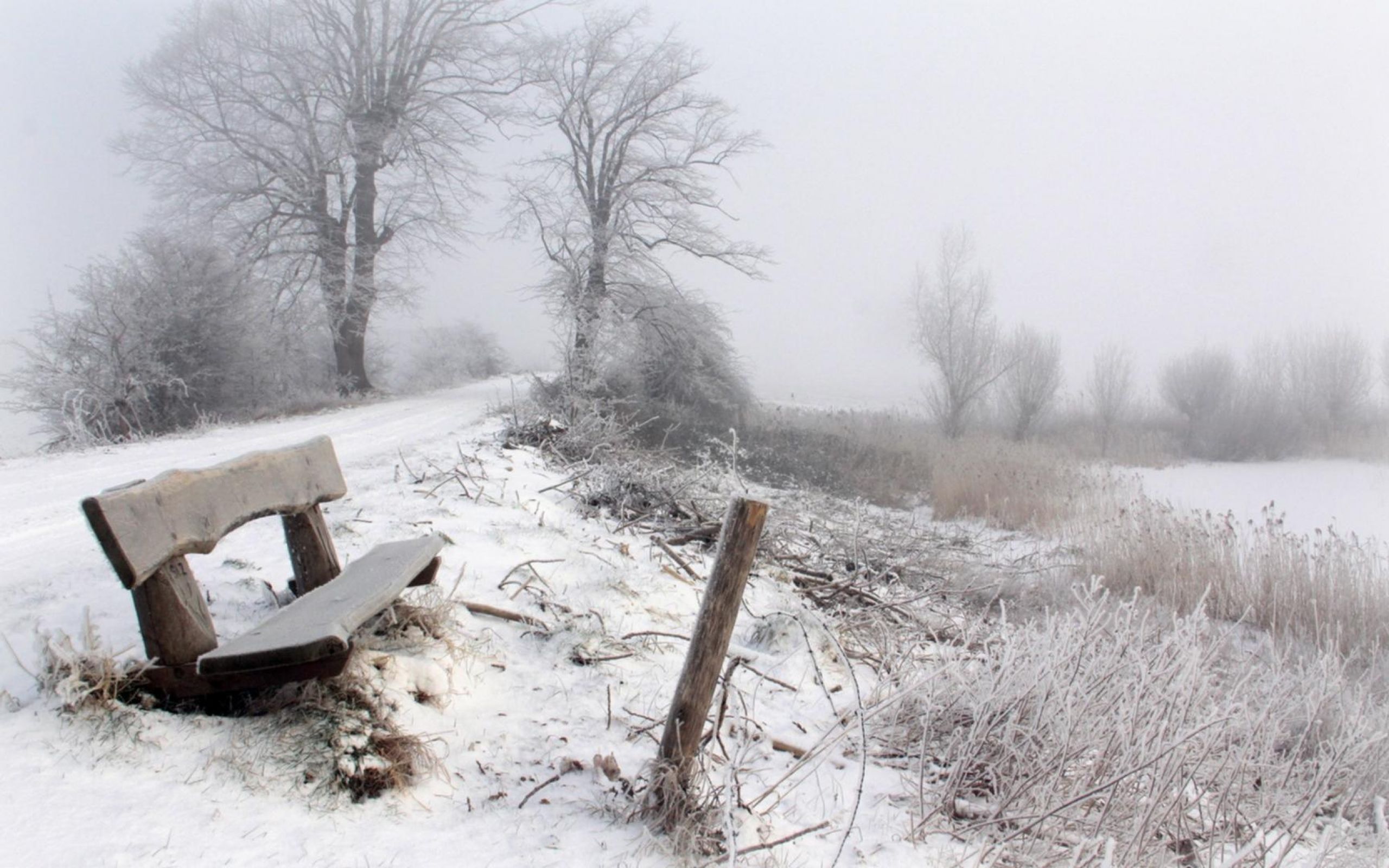 Снежок на дорогу падает. Запорошило снегом. Зимний туман в деревне. Метель в деревне. Скучная зима.