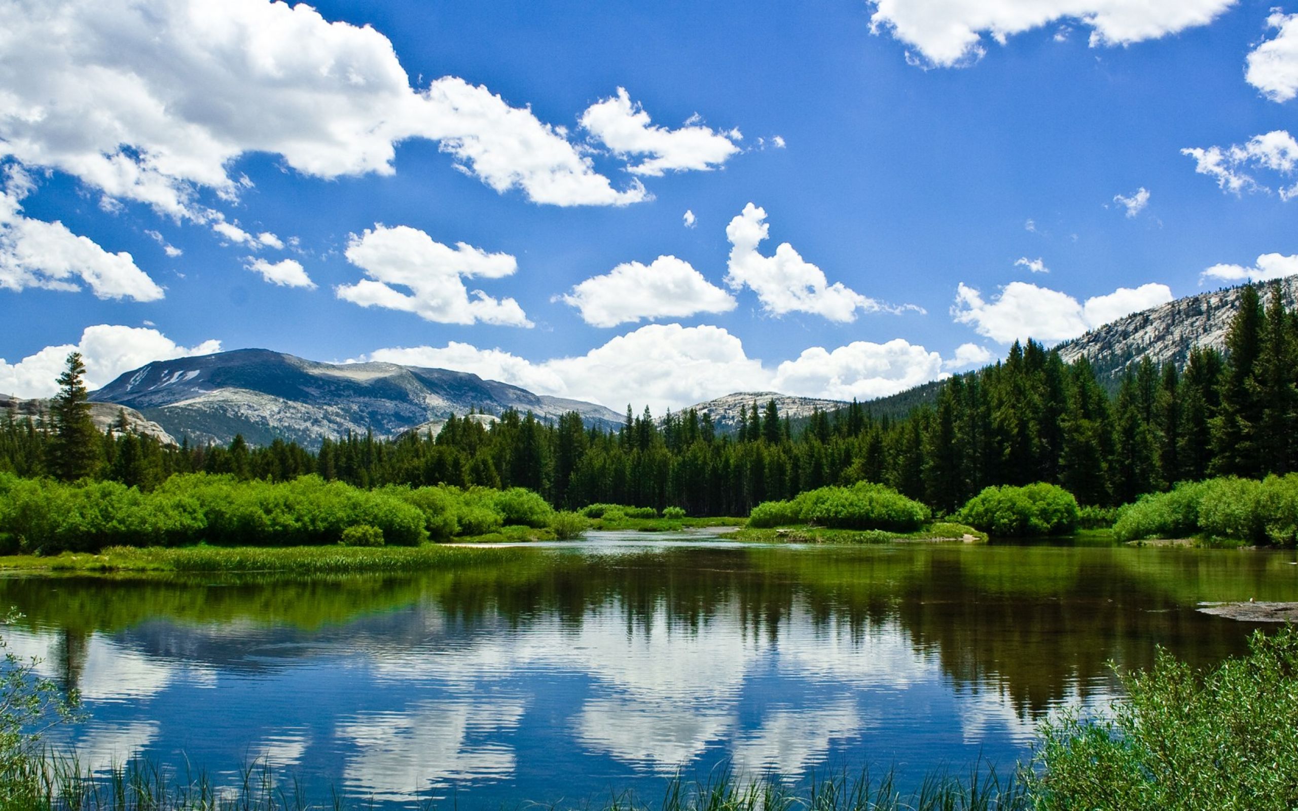 1400 x 900. Горная Шория озера. Природа. Летняя природа. Лето озеро.