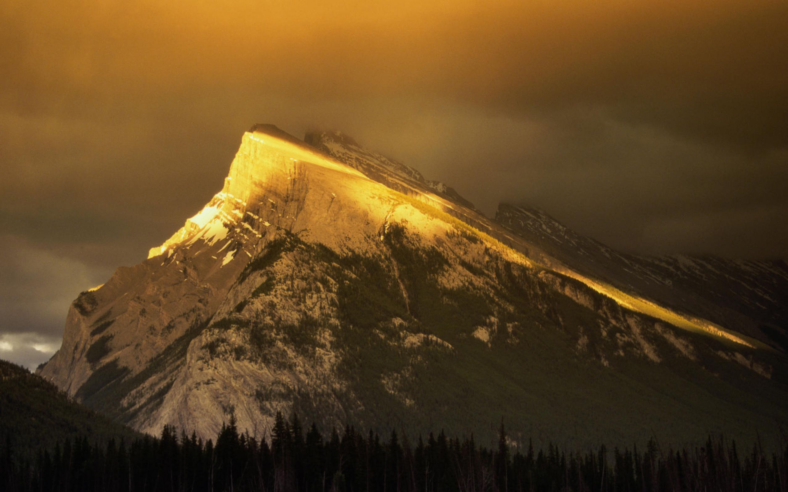 Золотая гора фото. Золотые горы. Вершина горы. В горах. Горы освещенные солнцем.