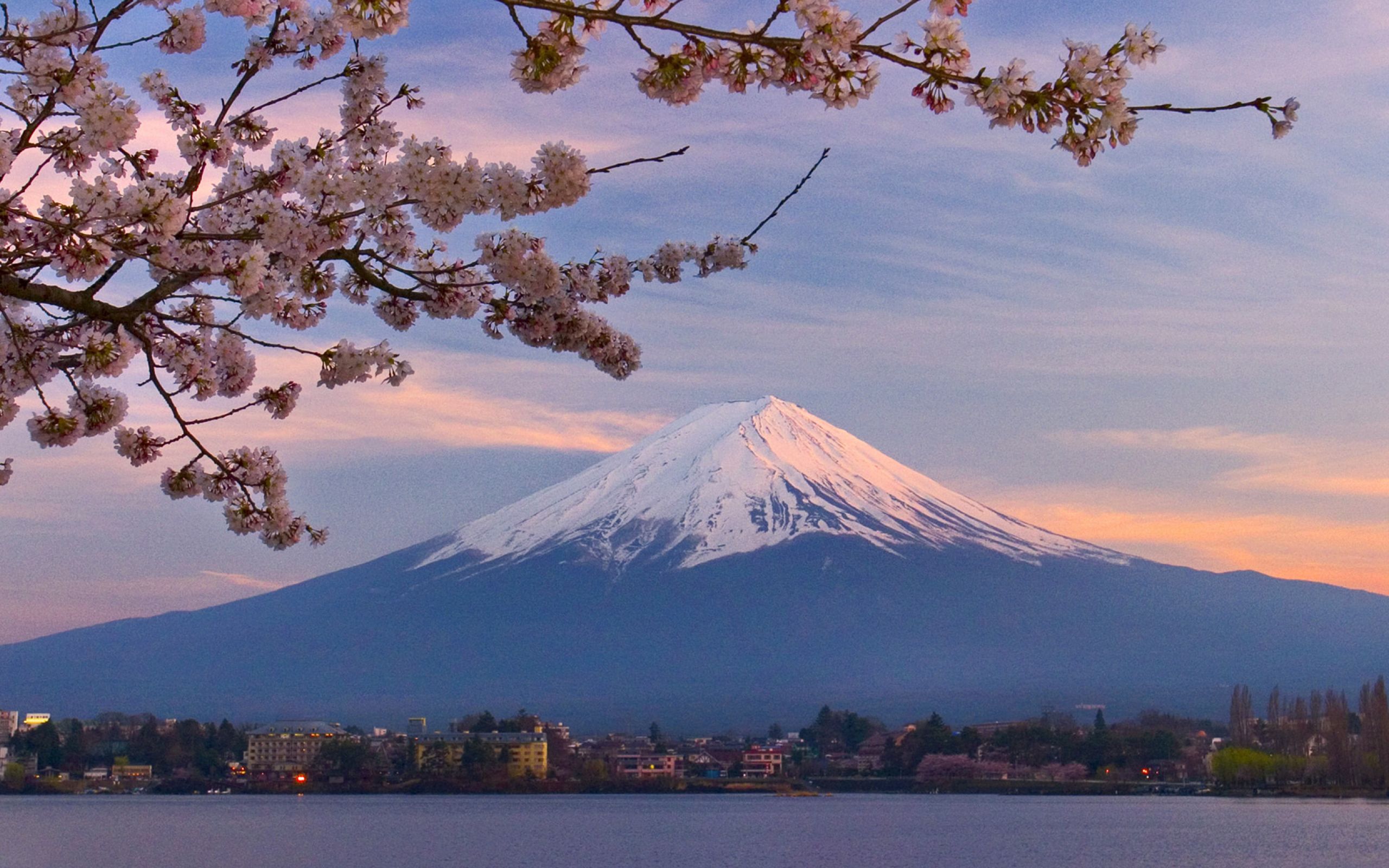 Фудзияма затон. Химедзи (остров Хонсю). Фудзияма Япония. Гора Фудзияма в Японии. Токио вулкан Фудзияма.