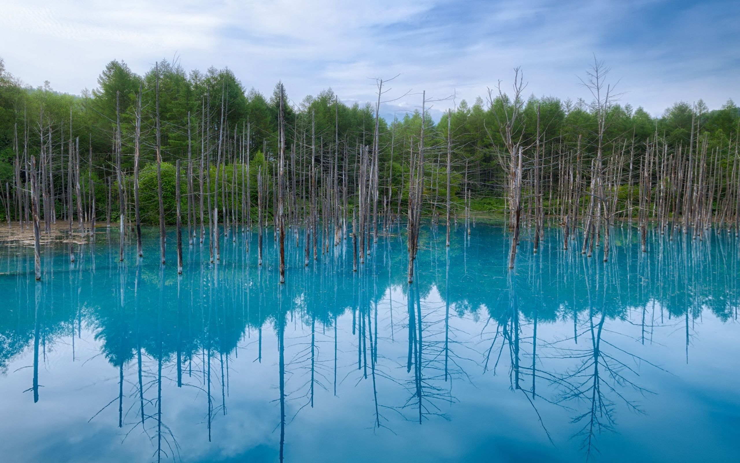 Озеро с синей водой. Пруд Хоккайдо Биэй. Пруд Биэй Япония. Изьяры озеро Марий Эл. Голубой пруд Биэй на острове Хоккайдо.
