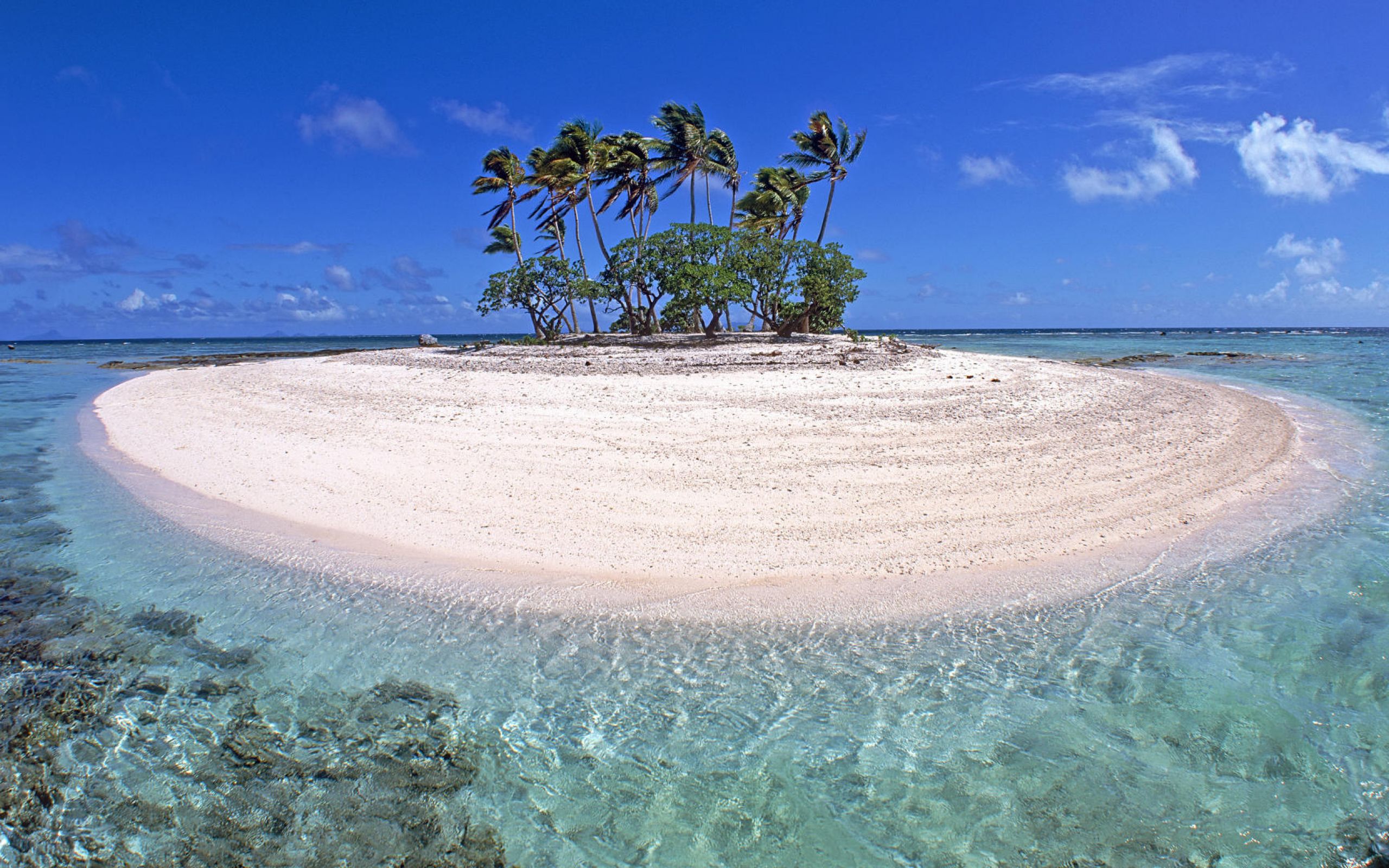 Ocean is beautiful. Каролинские острова Атолл. Атолл коралловый остров. Парадиз остров Карибского моря. Атоллы Микронезии.