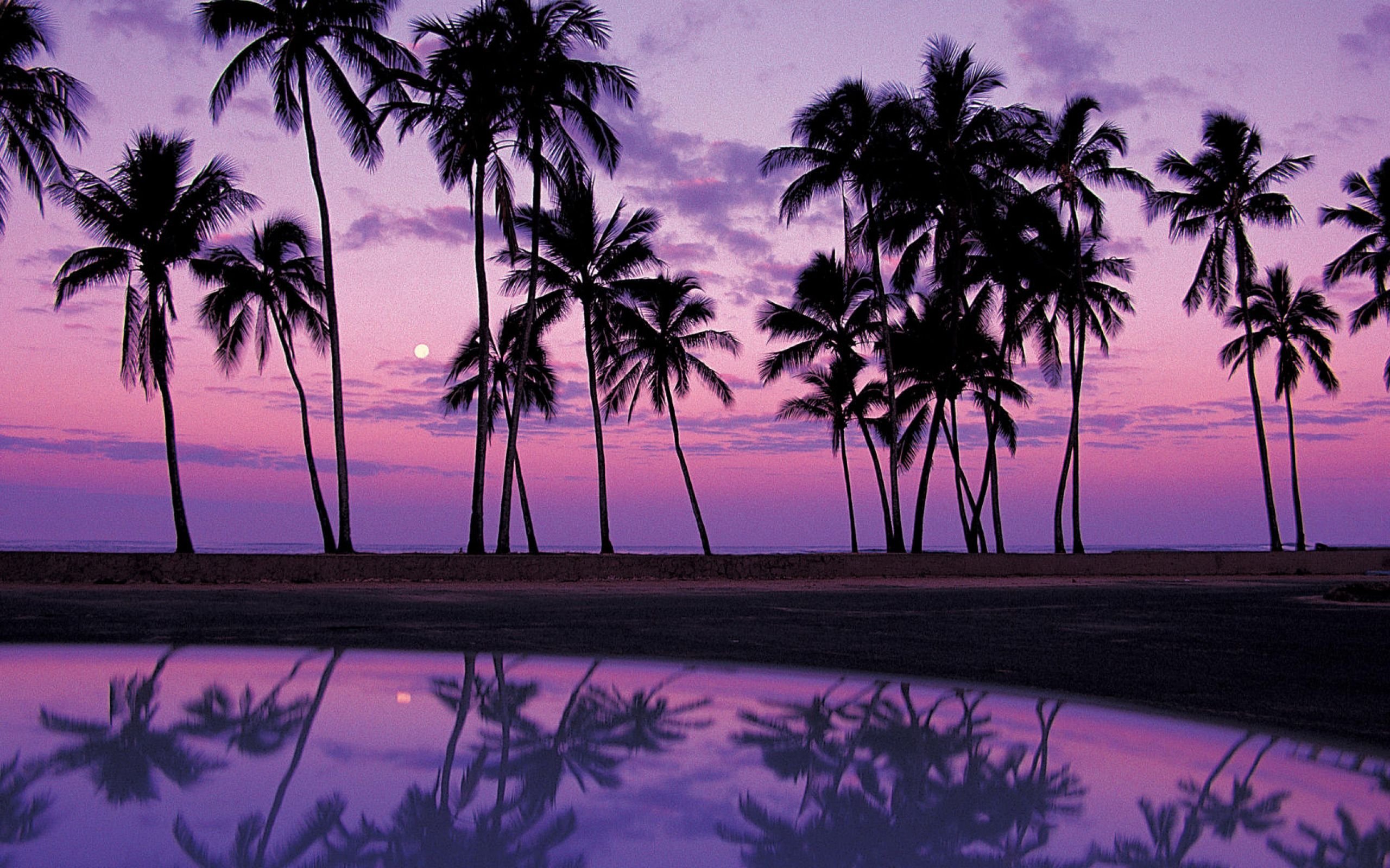 Purple beach