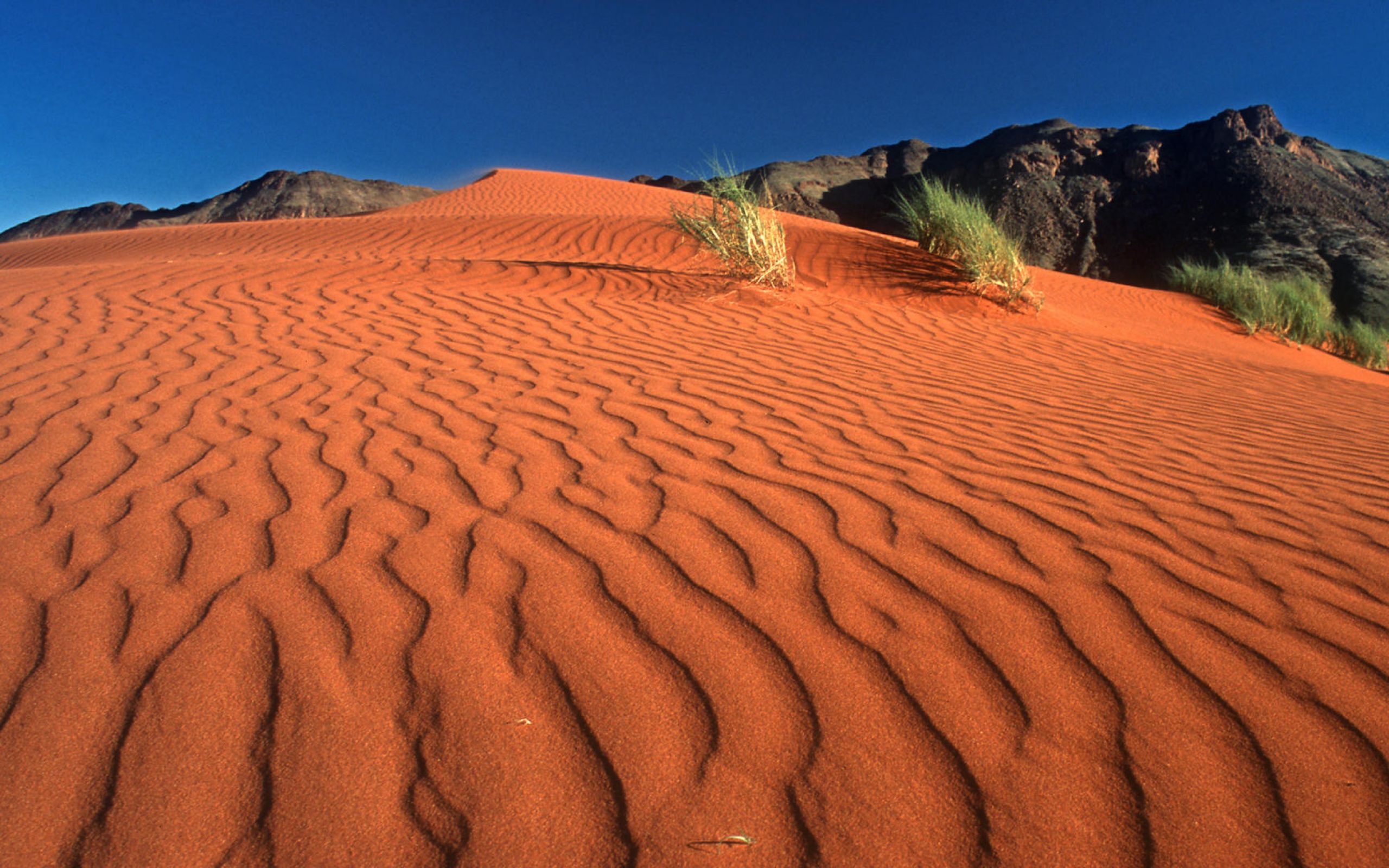 Самая большая пустыня на планете земля. Пустыня Намиб, Африка, Намибия. Дюны Соссусфлей. Намибия красные дюны. Красные дюны Соссусфлей.