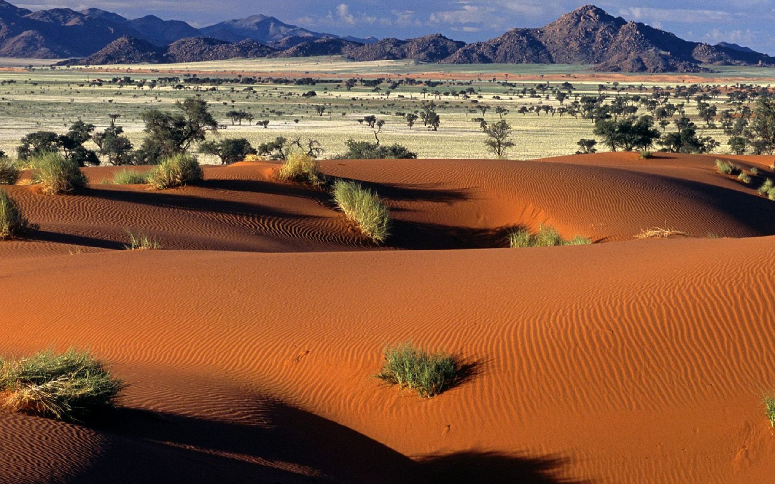 Самая сухая пустыня в африке. Намибия пустыня Намиб. Намибия пустыня Калахари. Африка пустыня Калахари. Пустыни: сахара, Намиб, Калахари.