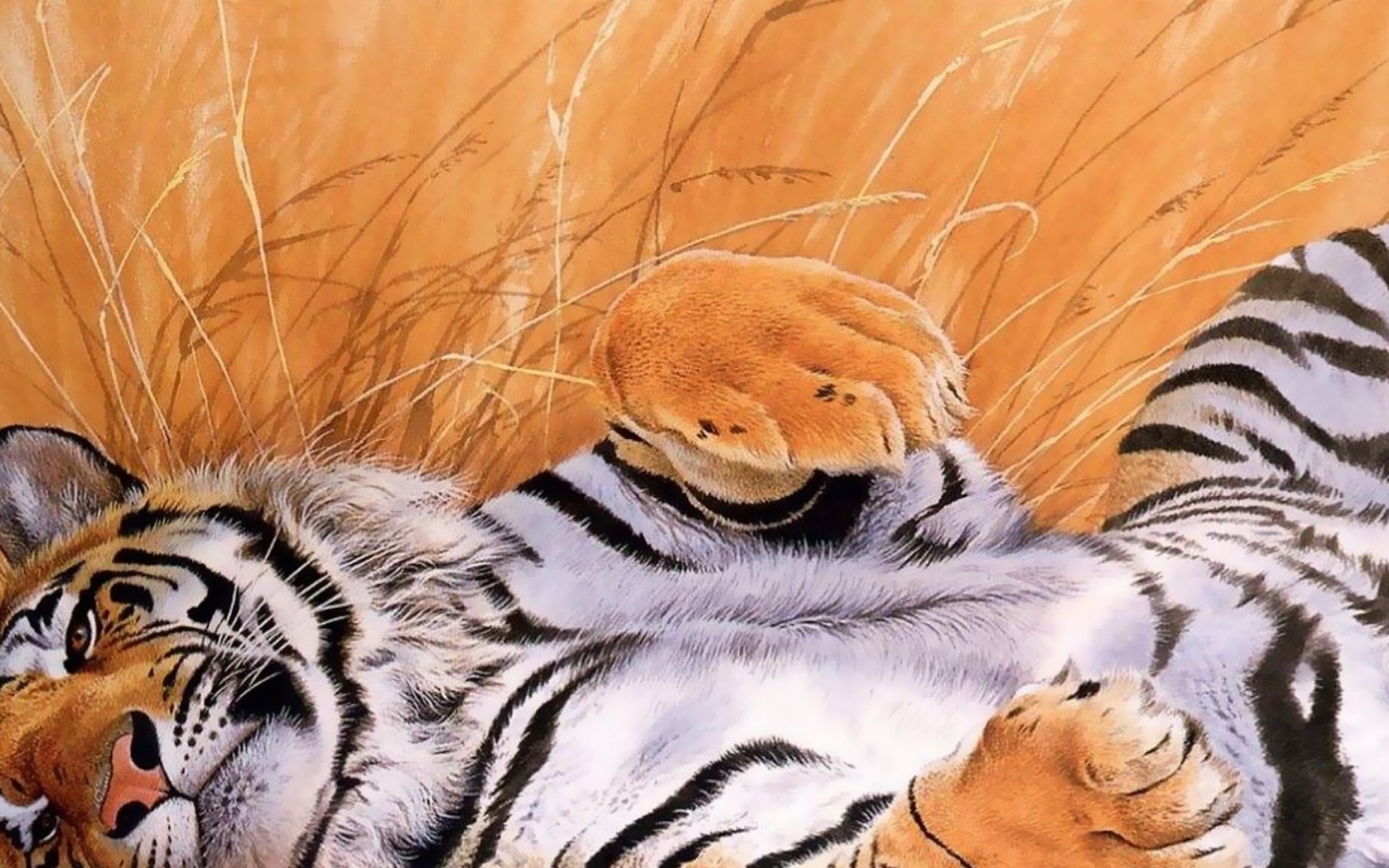 Тигр лень. Тигр. Тигрица. Тигр рисунок. Тигр обои.