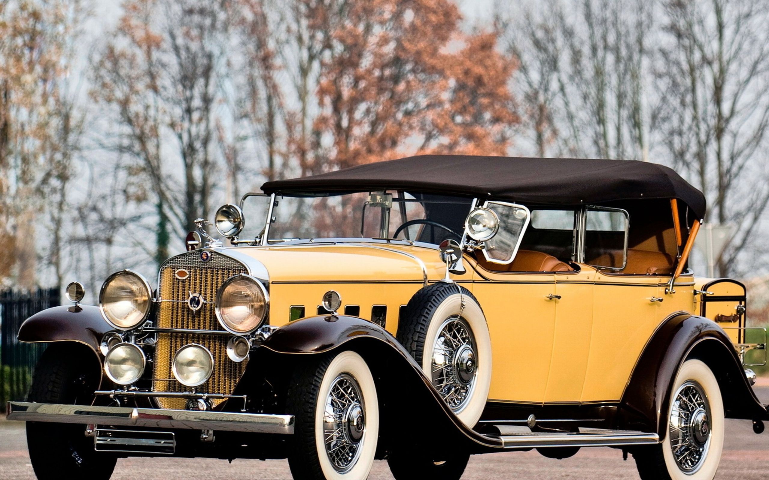 Пробег старых автомобилей. Ретро автомобиль Кадиллак 1931. Packard v12 1931. Cadillac v12 1933. Buick 1929.