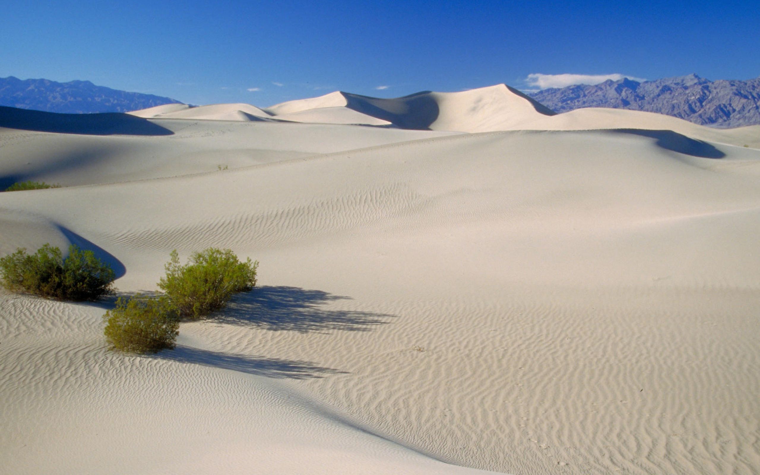 Неживая природа в пустыне. Пустыня Уайт Сэндс США. Долина смерти Северная Америка. Пустыня Мохаве. Долина смерти США.