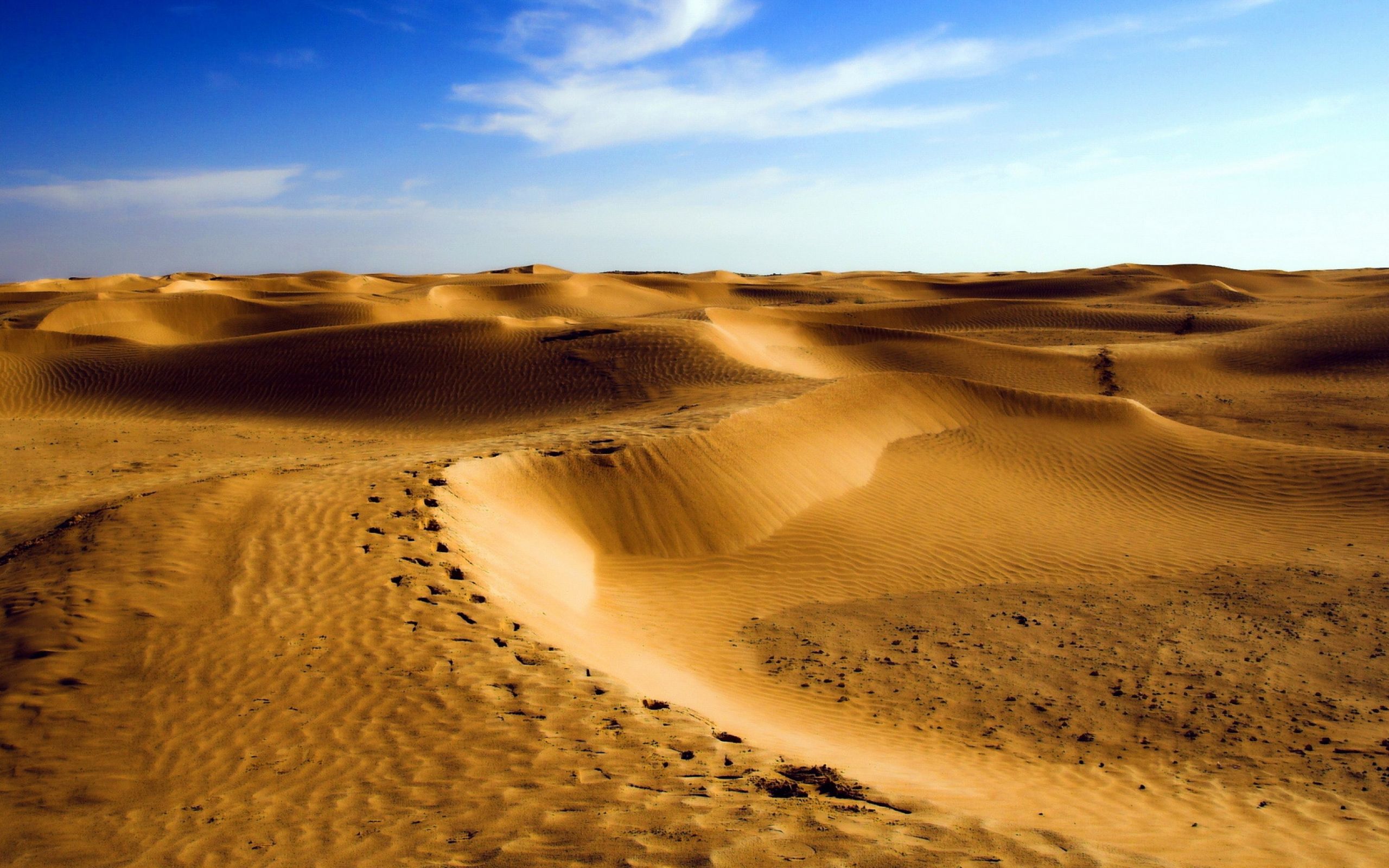 Самая сухая пустыня в африке. Дюны Барханы грядовые Пески. Бархан Сарыкум. Абу Даби песчаные дюны. Дюны эрг-шебби.