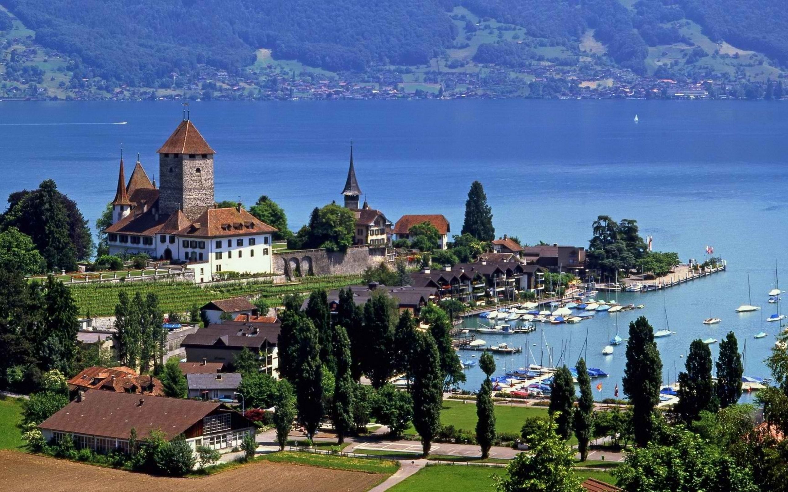 Швейцария маленькая страна. Женевское озеро Монтре. Швейцария Женева Альпы. Женевское озеро Швейцария. Spiez Castle Швейцария.