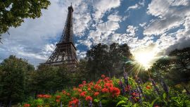 Париж Цветы