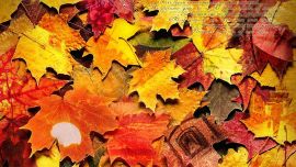 Осенние Листья