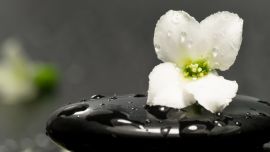 Zen Flower