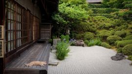 Японский Сад Дома