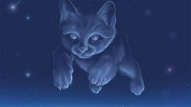 Кот в Космосе
