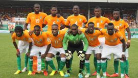 Ivory Coast Football Team 2014